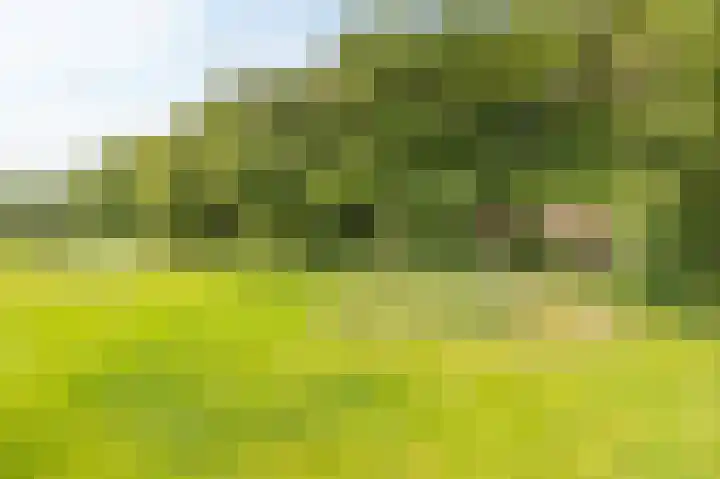 Rijksstraatweg 19 Glimmen thumbnail 66
