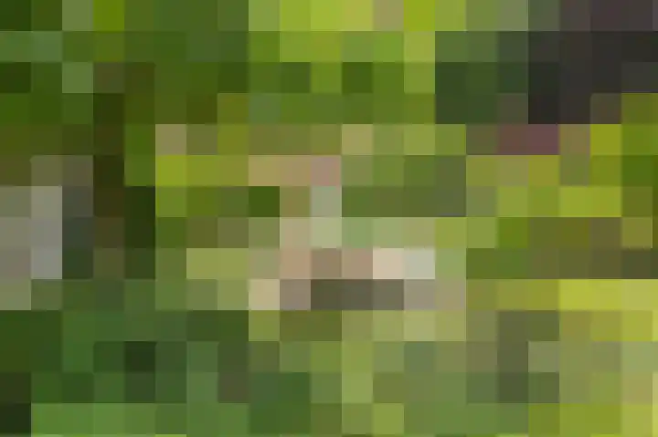 Rijksstraatweg 19 Glimmen thumbnail 7