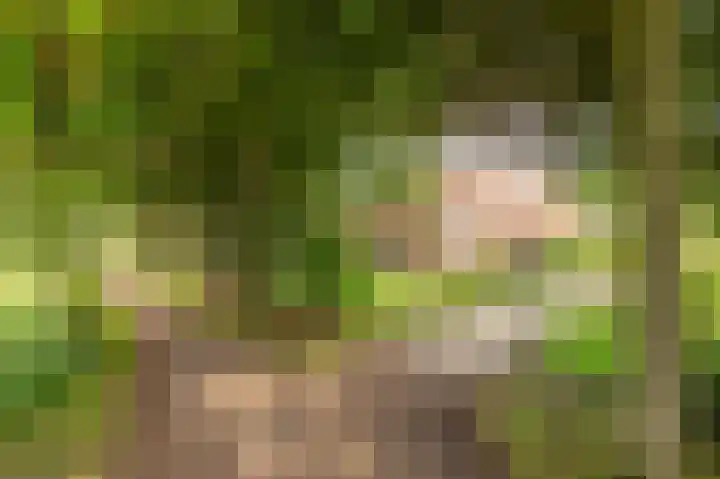 Rijksstraatweg 19 Glimmen thumbnail 77