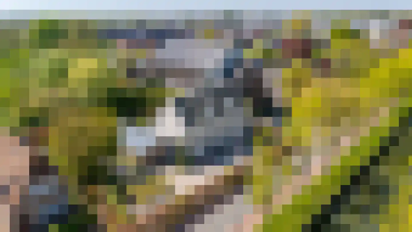 Rijksstraatweg 19 Utrecht thumbnail 5