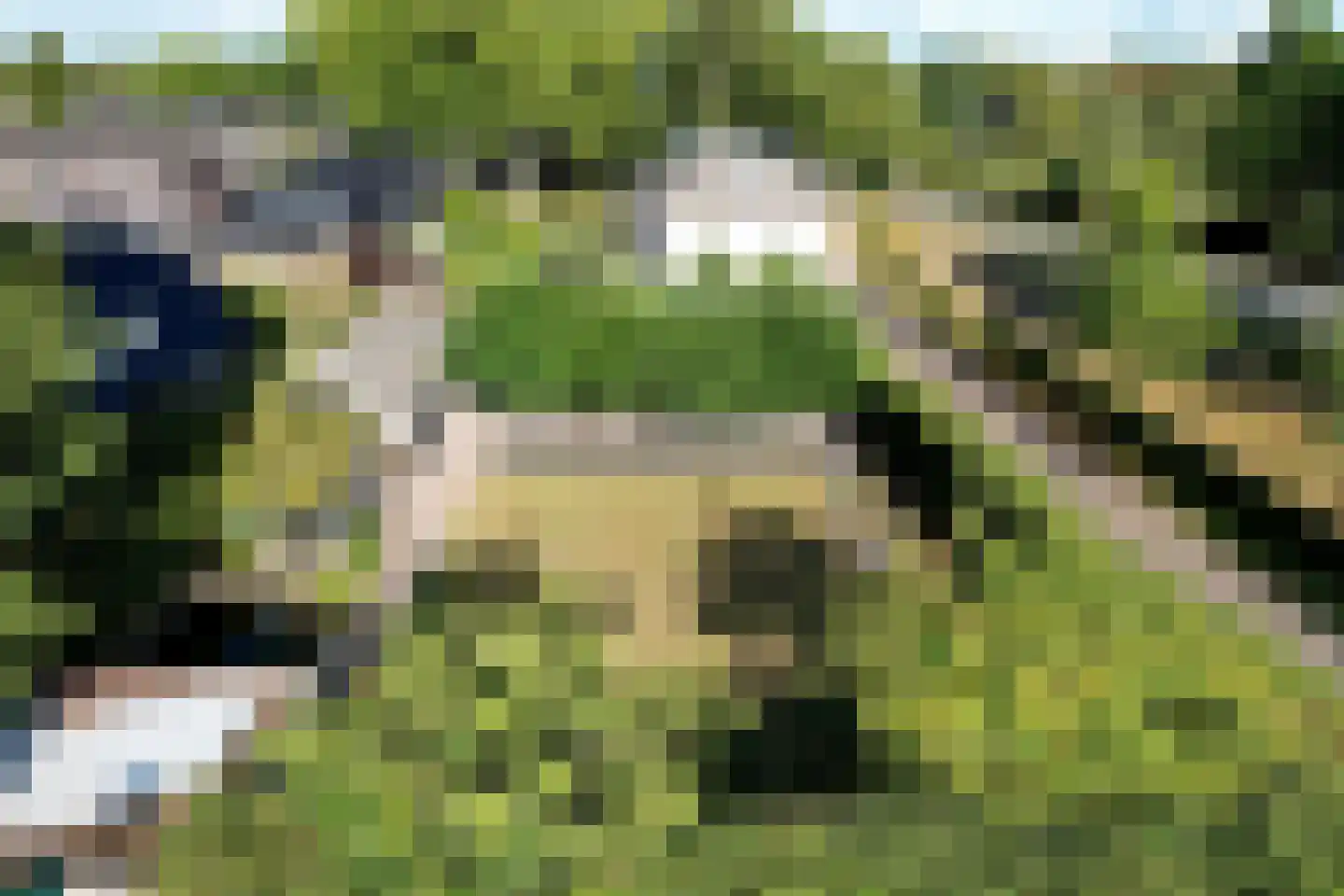 Rijksstraatweg 194 Teuge thumbnail 101