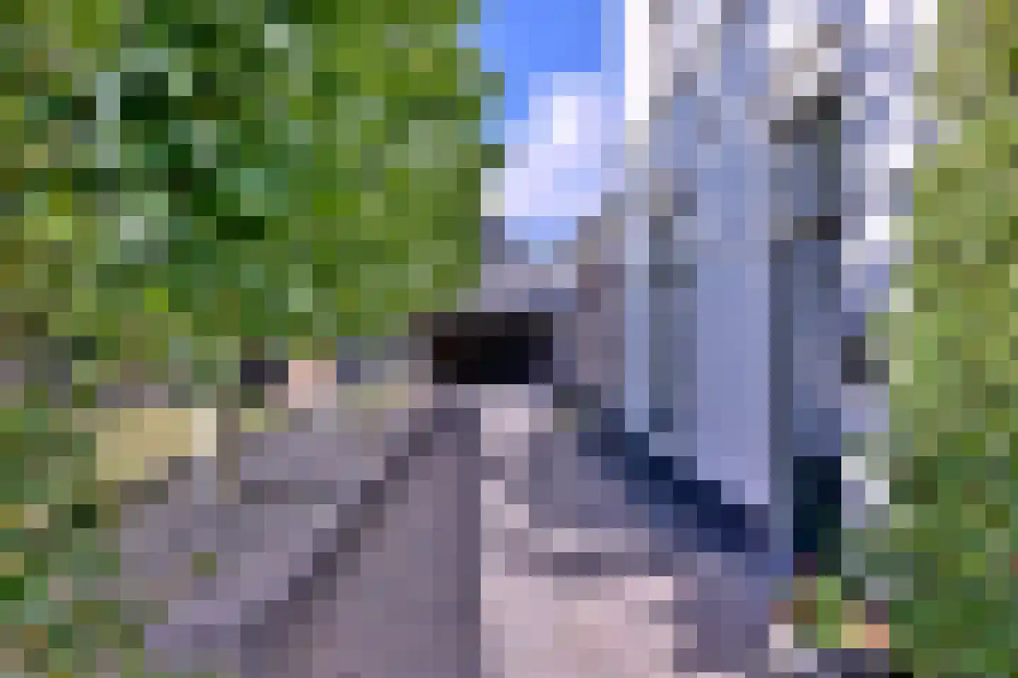 Rijksstraatweg 194 Teuge thumbnail 11