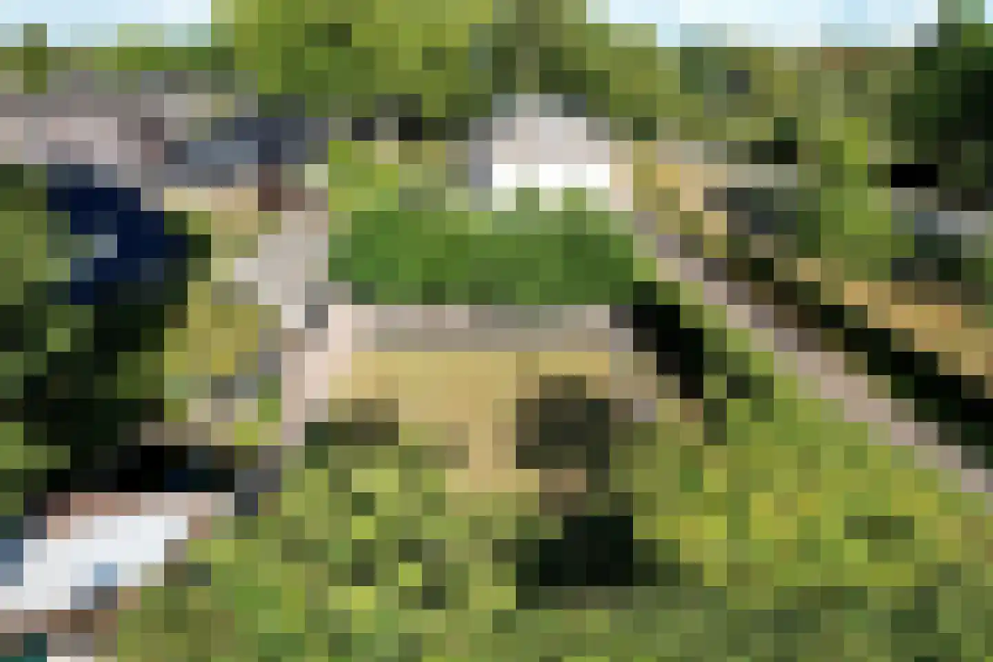 Rijksstraatweg 194 Teuge thumbnail 6