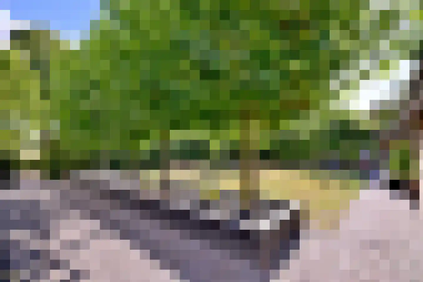 Rijksstraatweg 194 Teuge thumbnail 9
