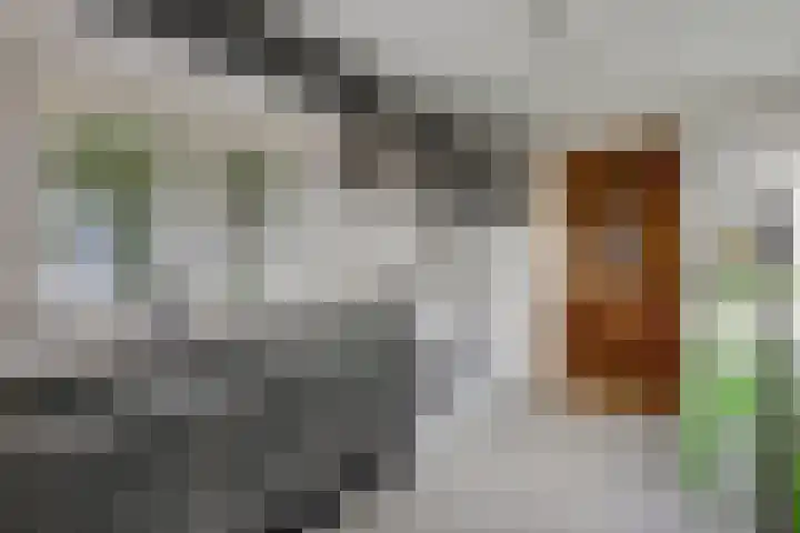 Rijksstraatweg 2 Elst Ut thumbnail 13