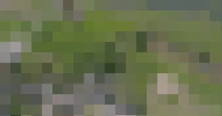 Rijksstraatweg 2 Elst Ut thumbnail 35