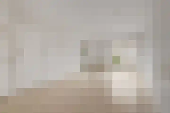Rijksstraatweg 200 Haarlem thumbnail 12