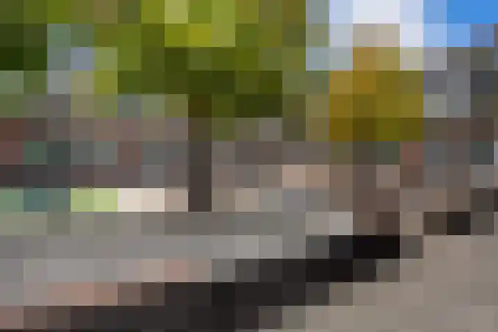 Rijksstraatweg 200 Haarlem thumbnail 27