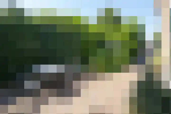 Rijksstraatweg 200 Ridderkerk thumbnail 19
