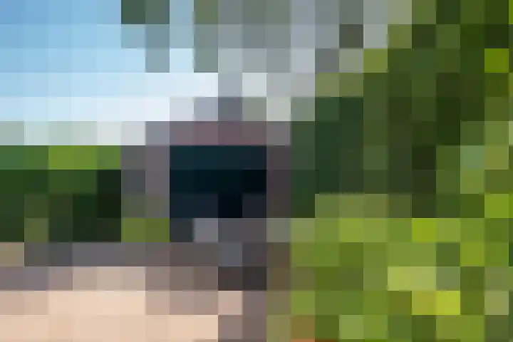 Rijksstraatweg 200 Ridderkerk thumbnail 36