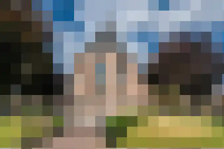 Rijksstraatweg 200 Ridderkerk thumbnail 48