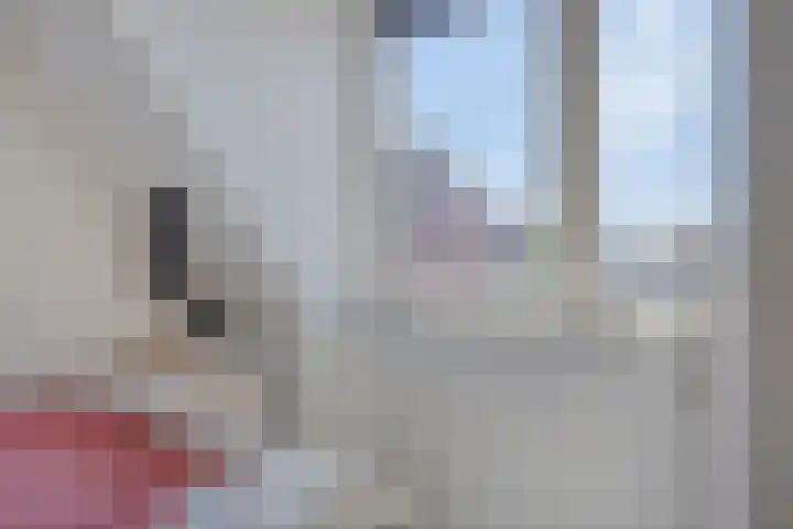 Rijksstraatweg 204 a Leersum thumbnail 10