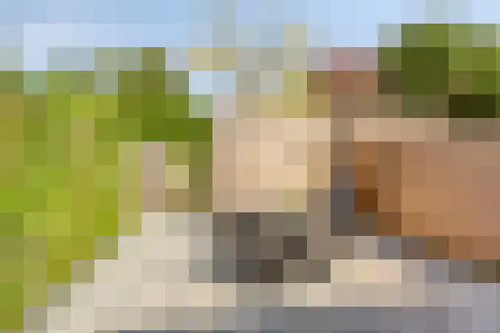 Rijksstraatweg 204 a Leersum thumbnail 14