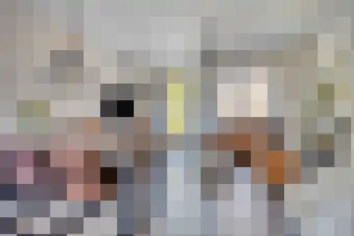 Rijksstraatweg 204 a Leersum thumbnail 5