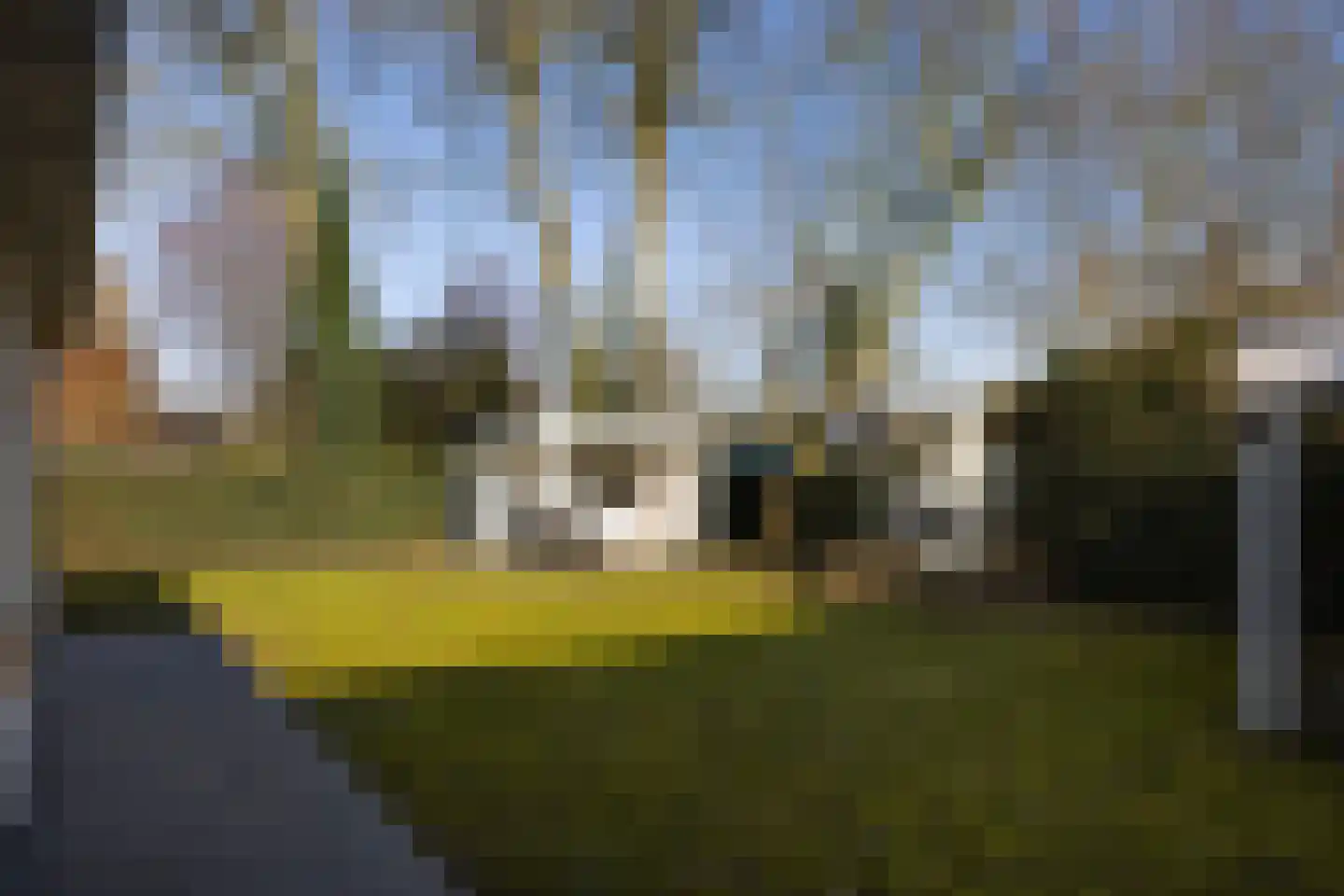 Rijksstraatweg 208 Loenersloot thumbnail 40
