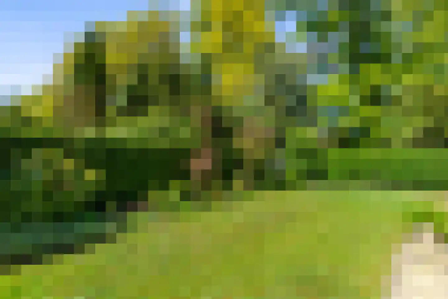 Rijksstraatweg 21 Glimmen thumbnail 13