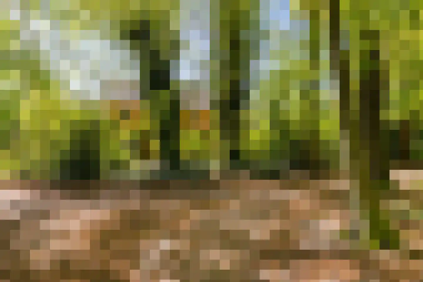Rijksstraatweg 21 Glimmen thumbnail 14