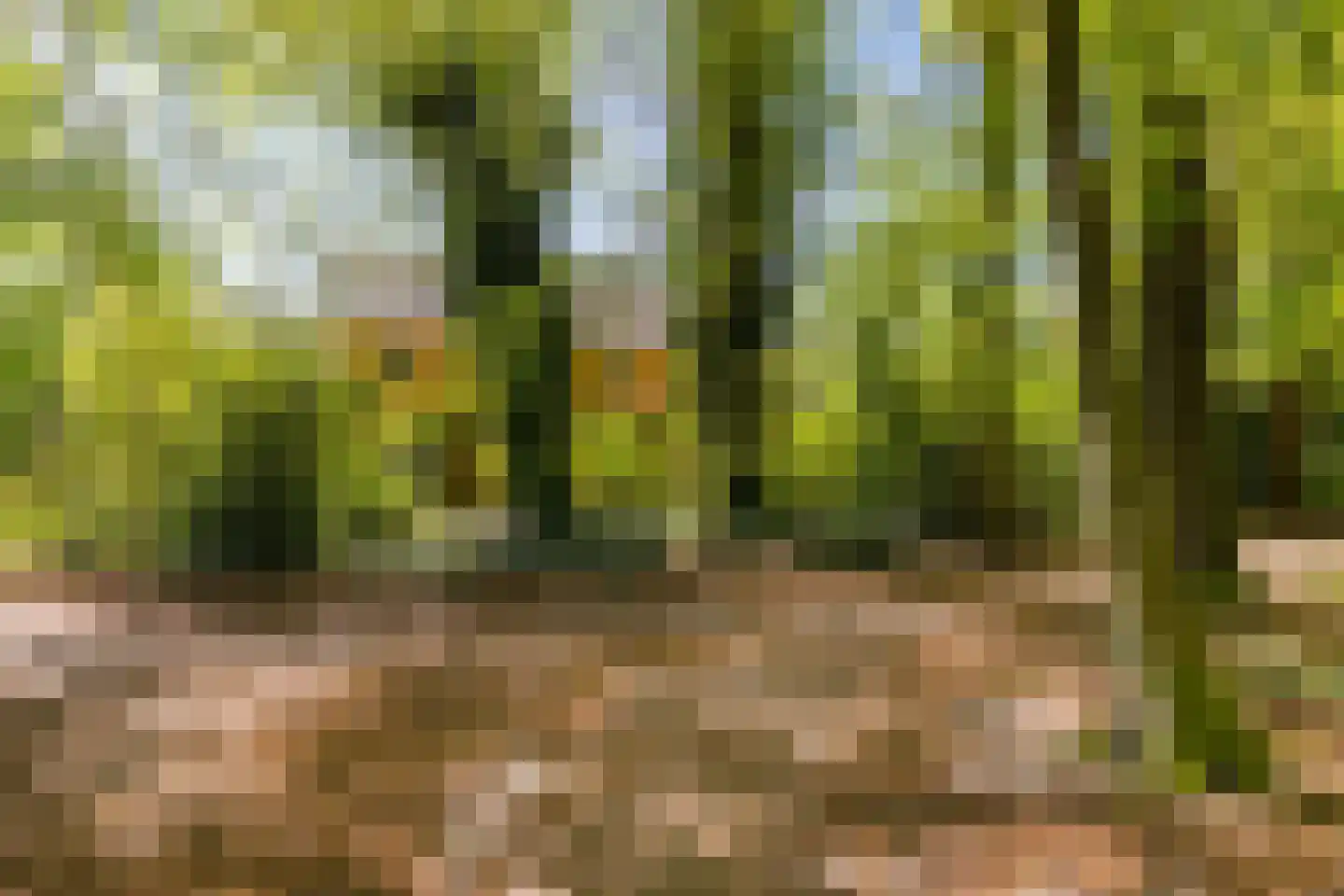 Rijksstraatweg 21 Glimmen thumbnail 14