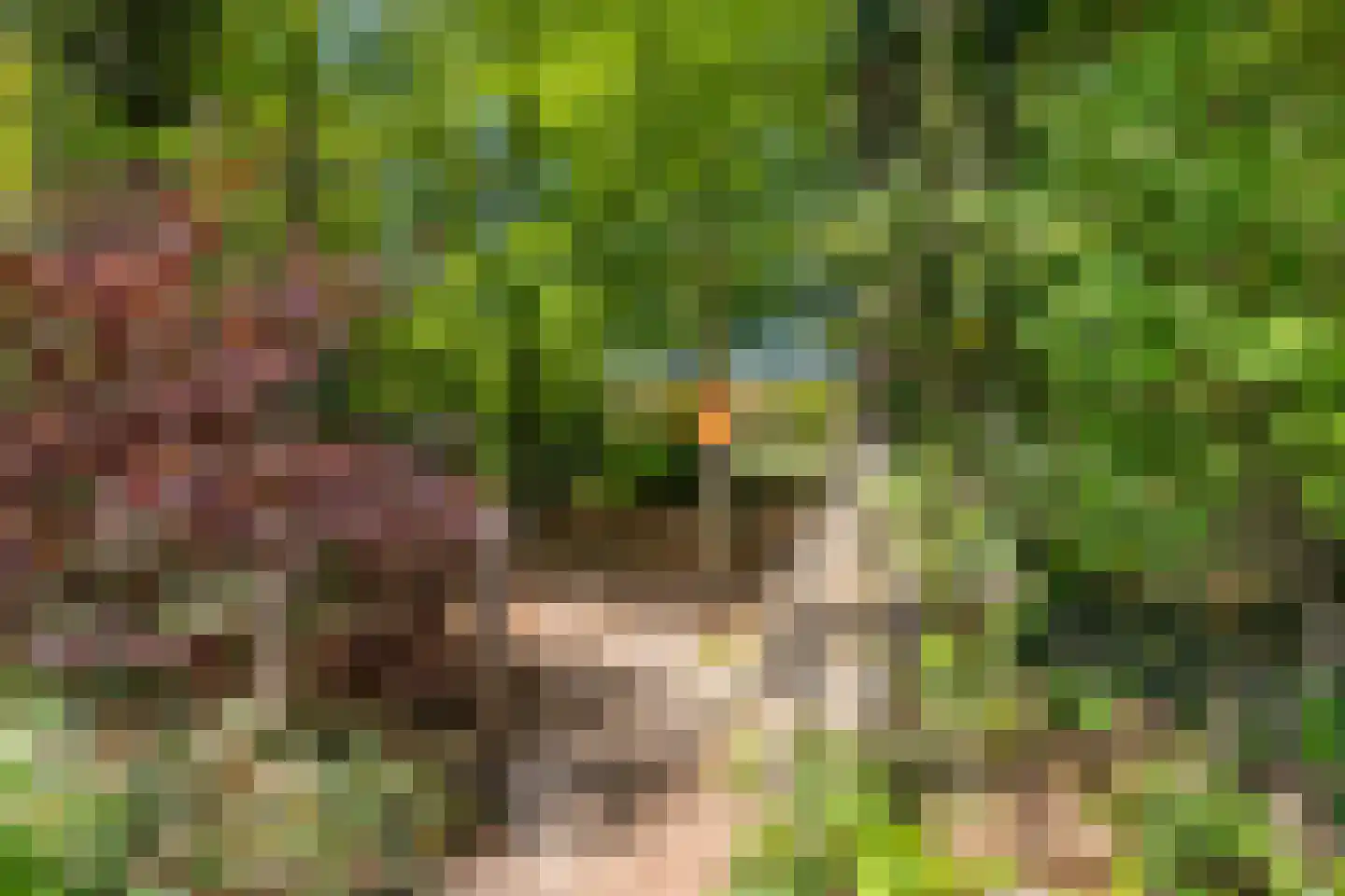 Rijksstraatweg 21 Glimmen thumbnail 15