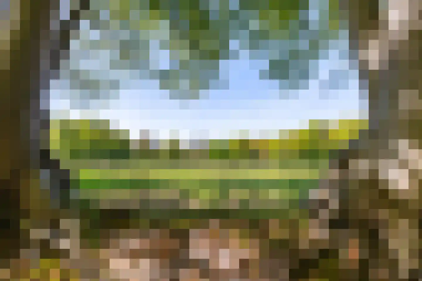 Rijksstraatweg 21 Glimmen thumbnail 16
