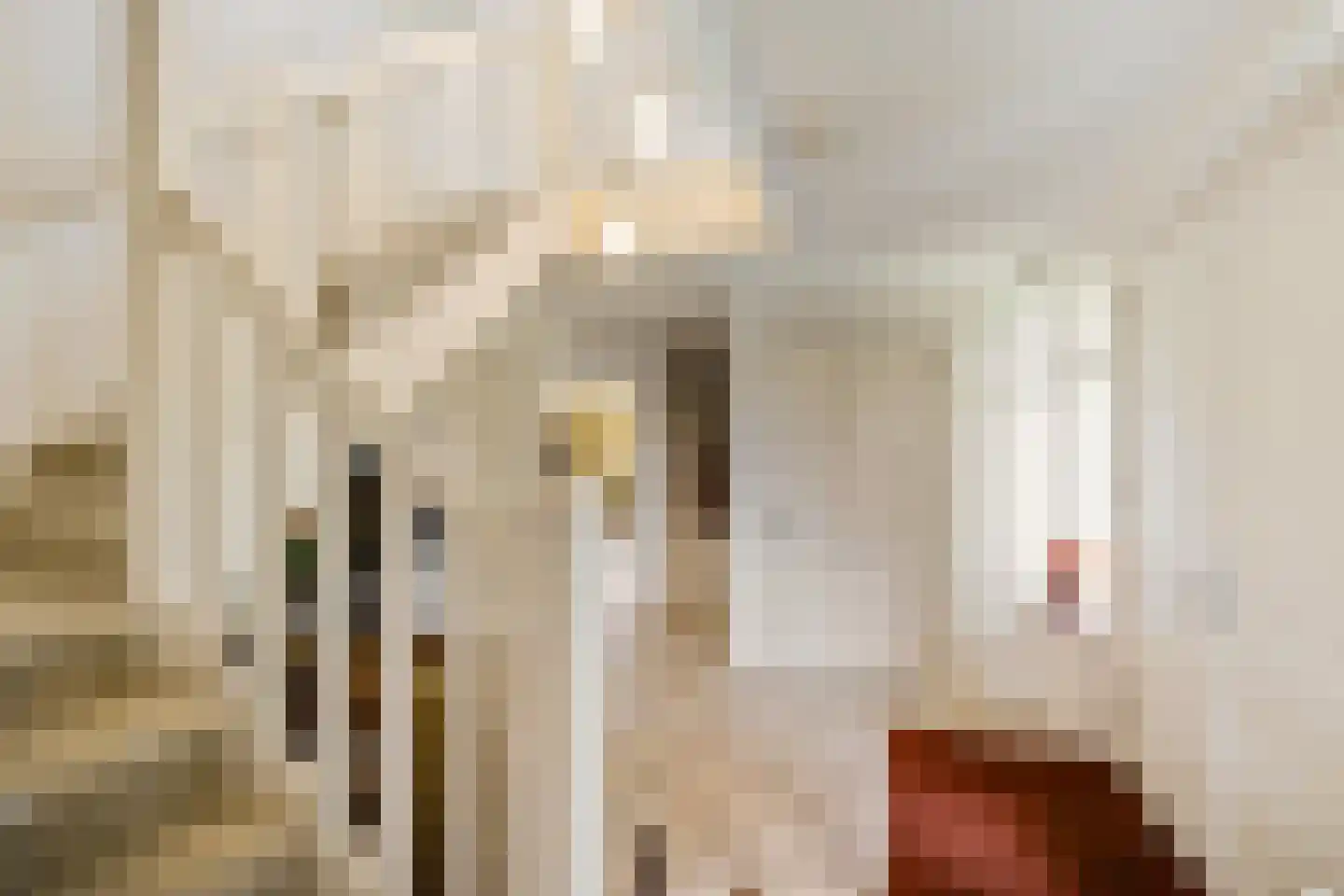 Rijksstraatweg 21 Glimmen thumbnail 17