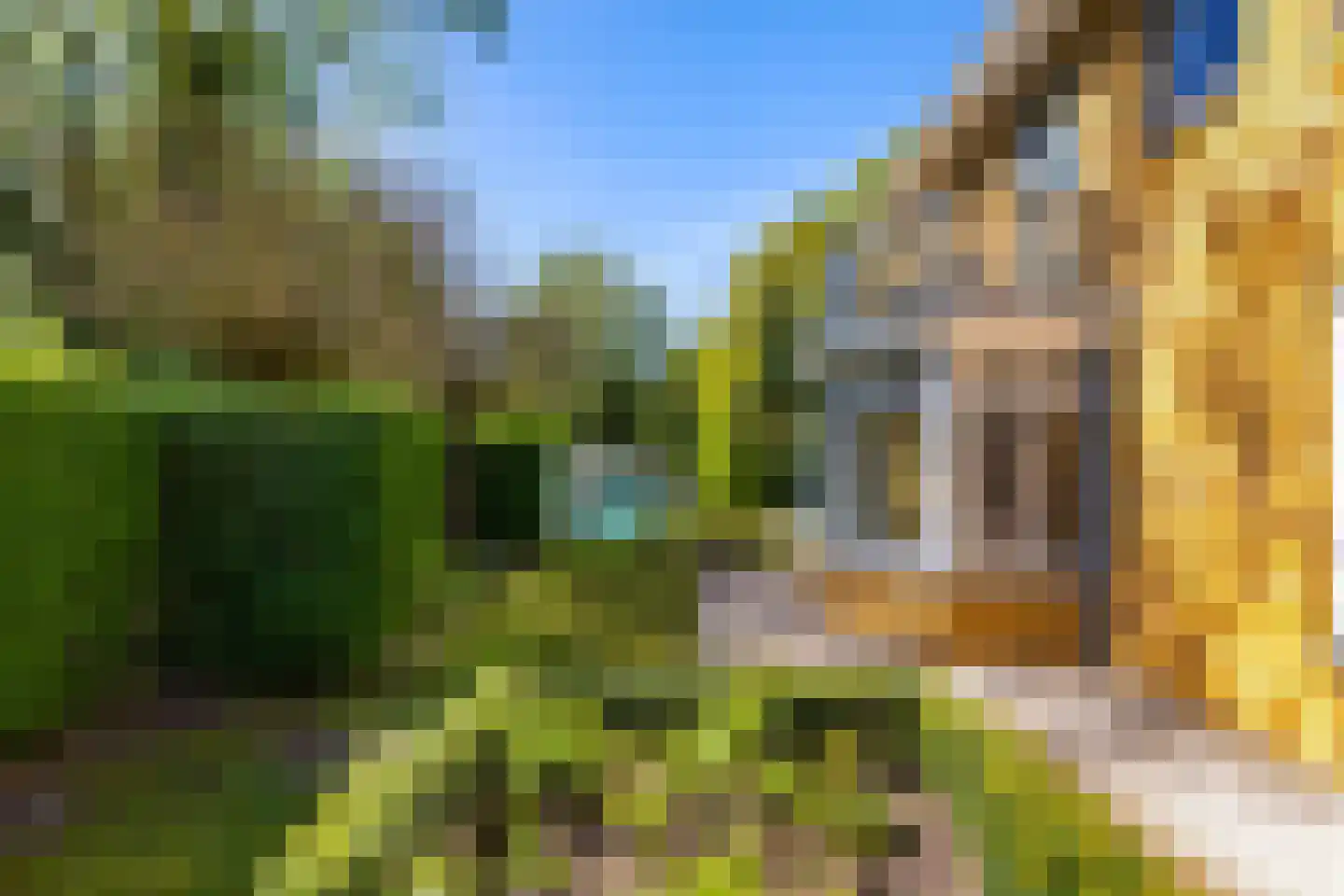 Rijksstraatweg 21 Glimmen thumbnail 7