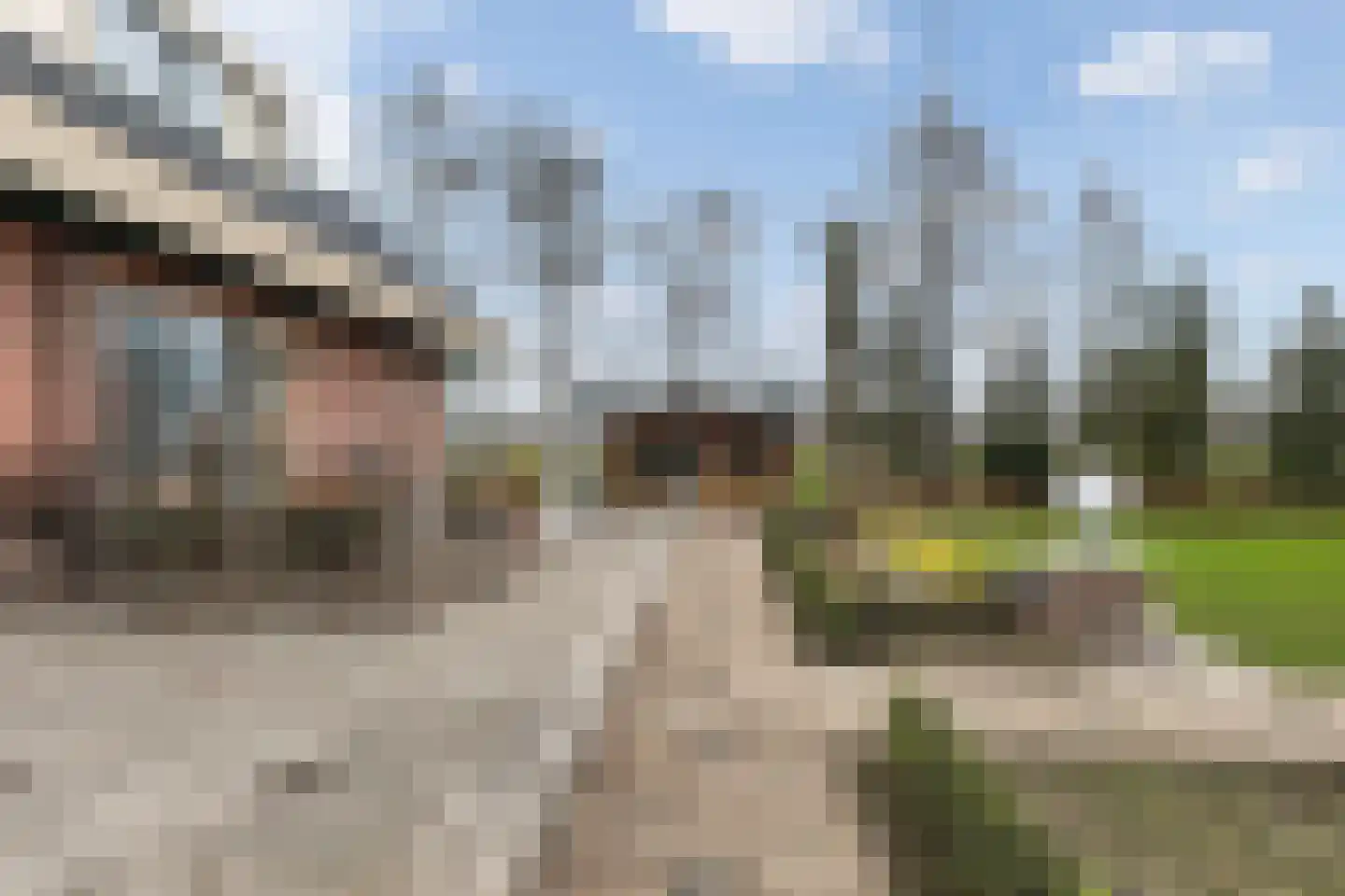 Rijksstraatweg 21 Jistrum thumbnail 21