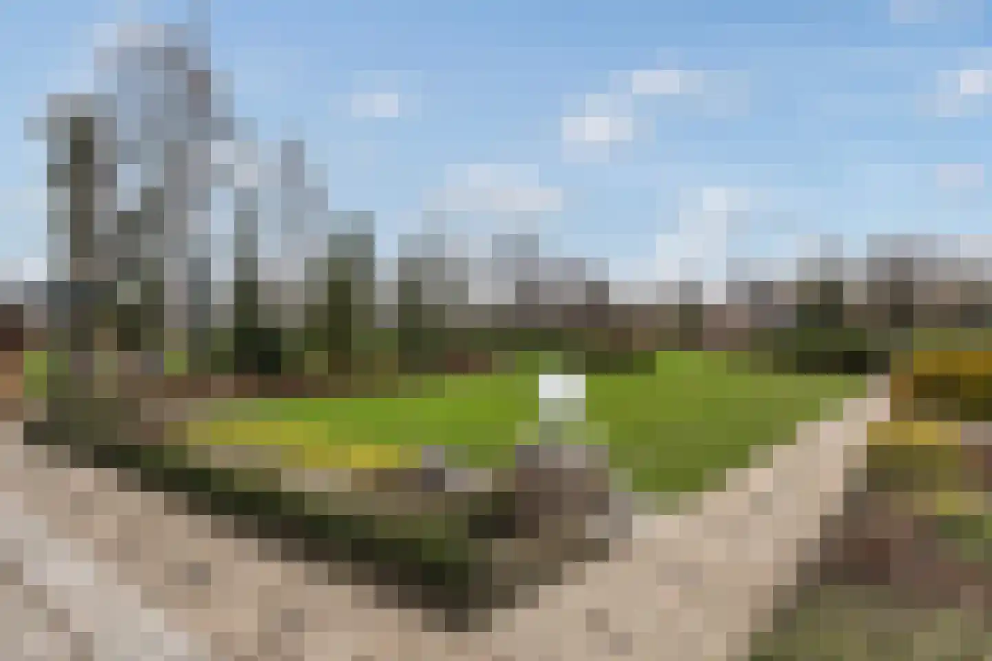Rijksstraatweg 21 Jistrum thumbnail 25