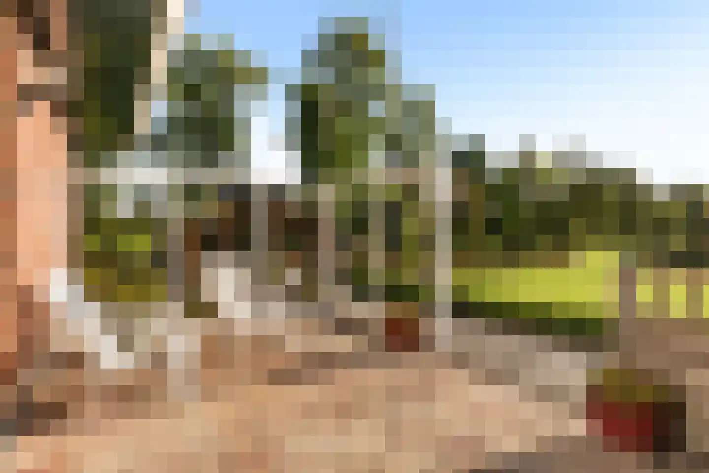 Rijksstraatweg 21 Jistrum thumbnail 33