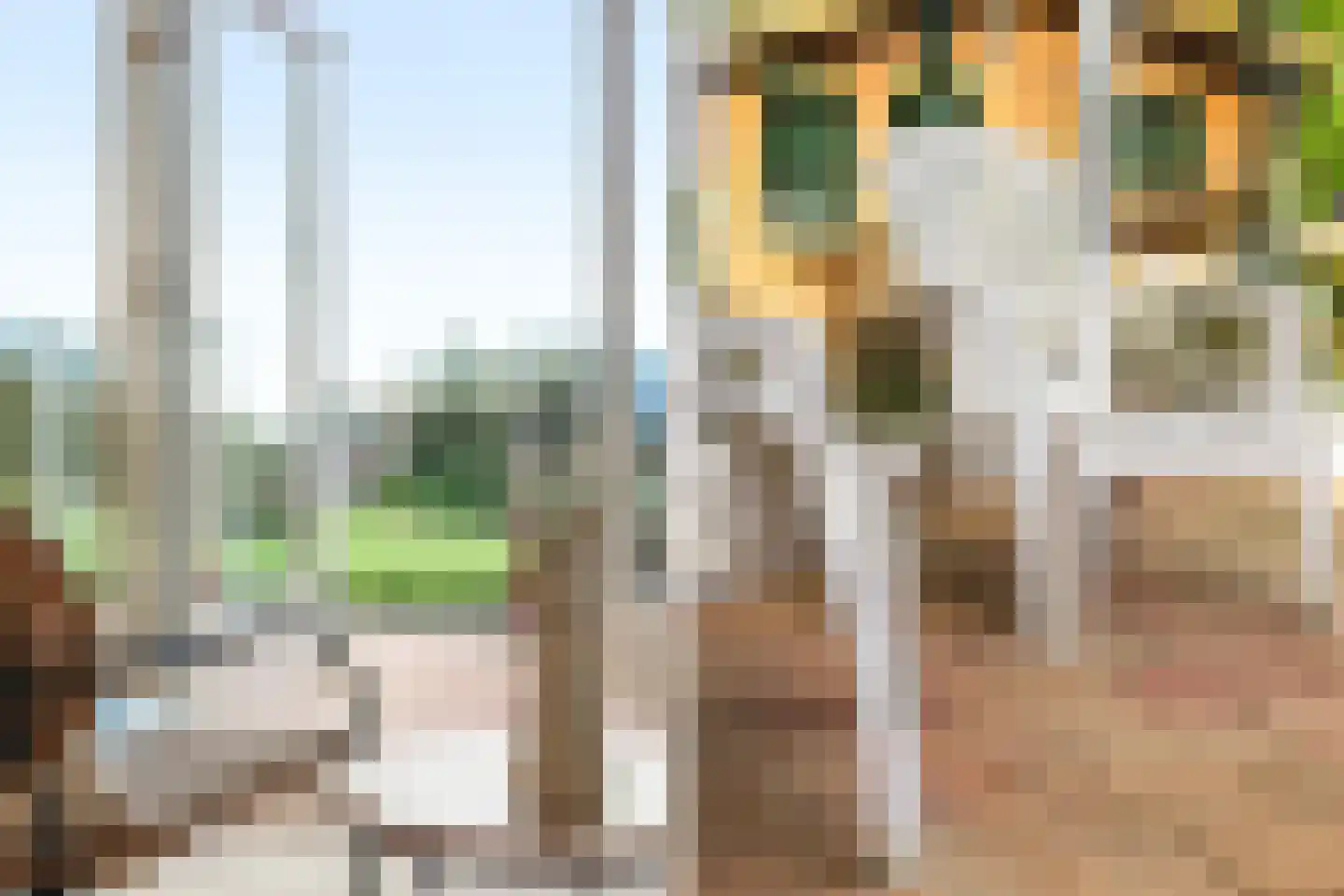 Rijksstraatweg 21 Jistrum thumbnail 35