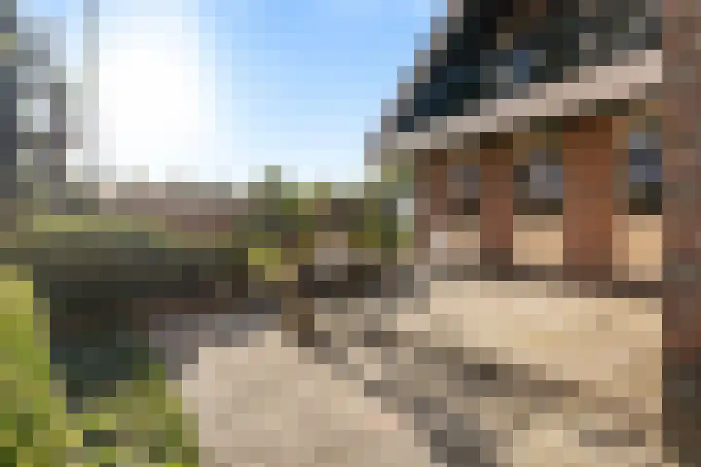 Rijksstraatweg 21 Jistrum thumbnail 37