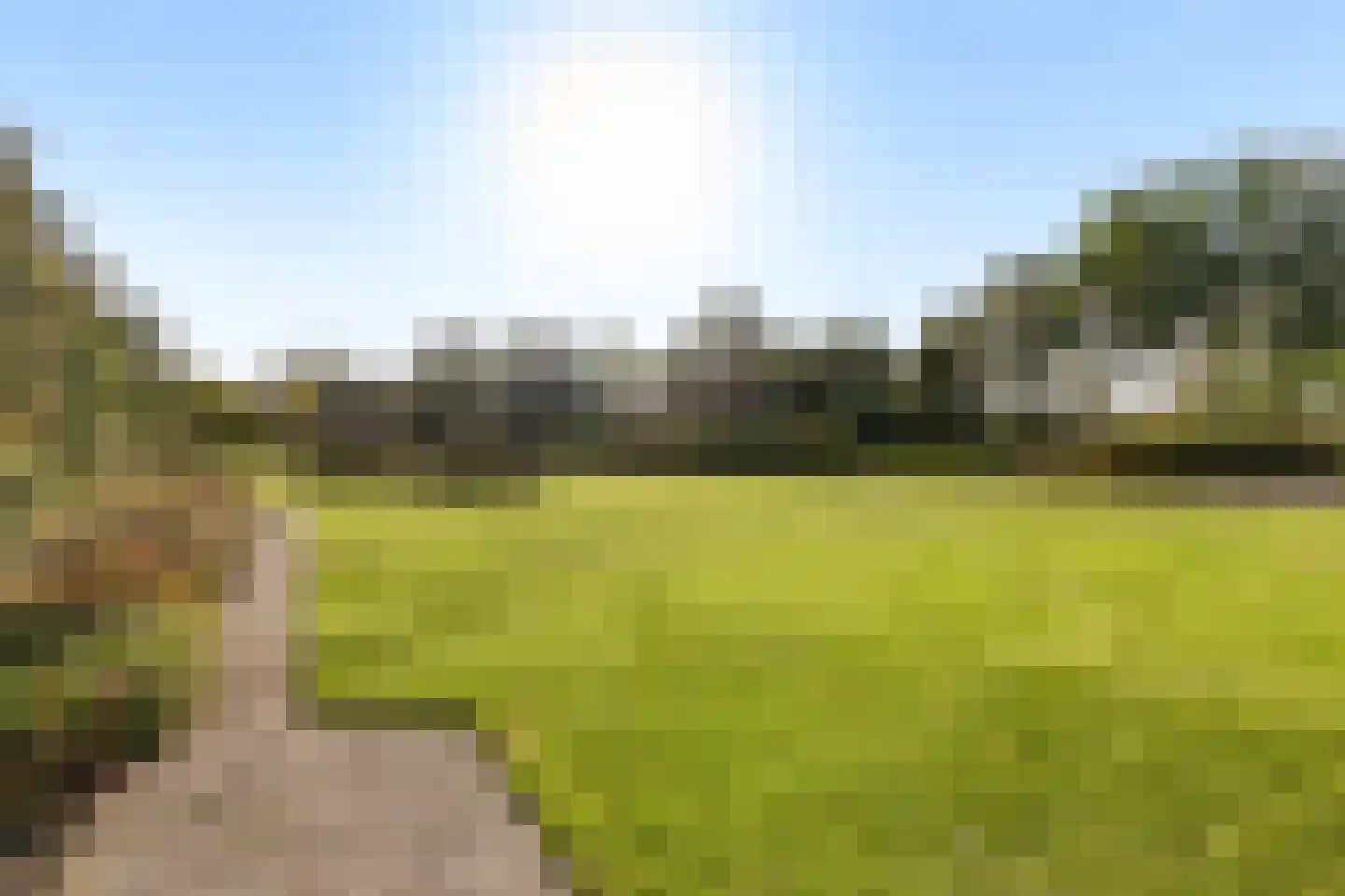 Rijksstraatweg 21 Jistrum thumbnail 40