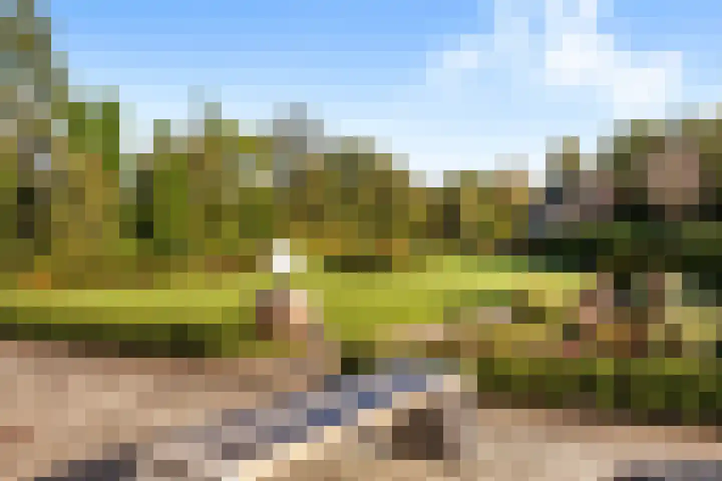 Rijksstraatweg 21 Jistrum thumbnail 42