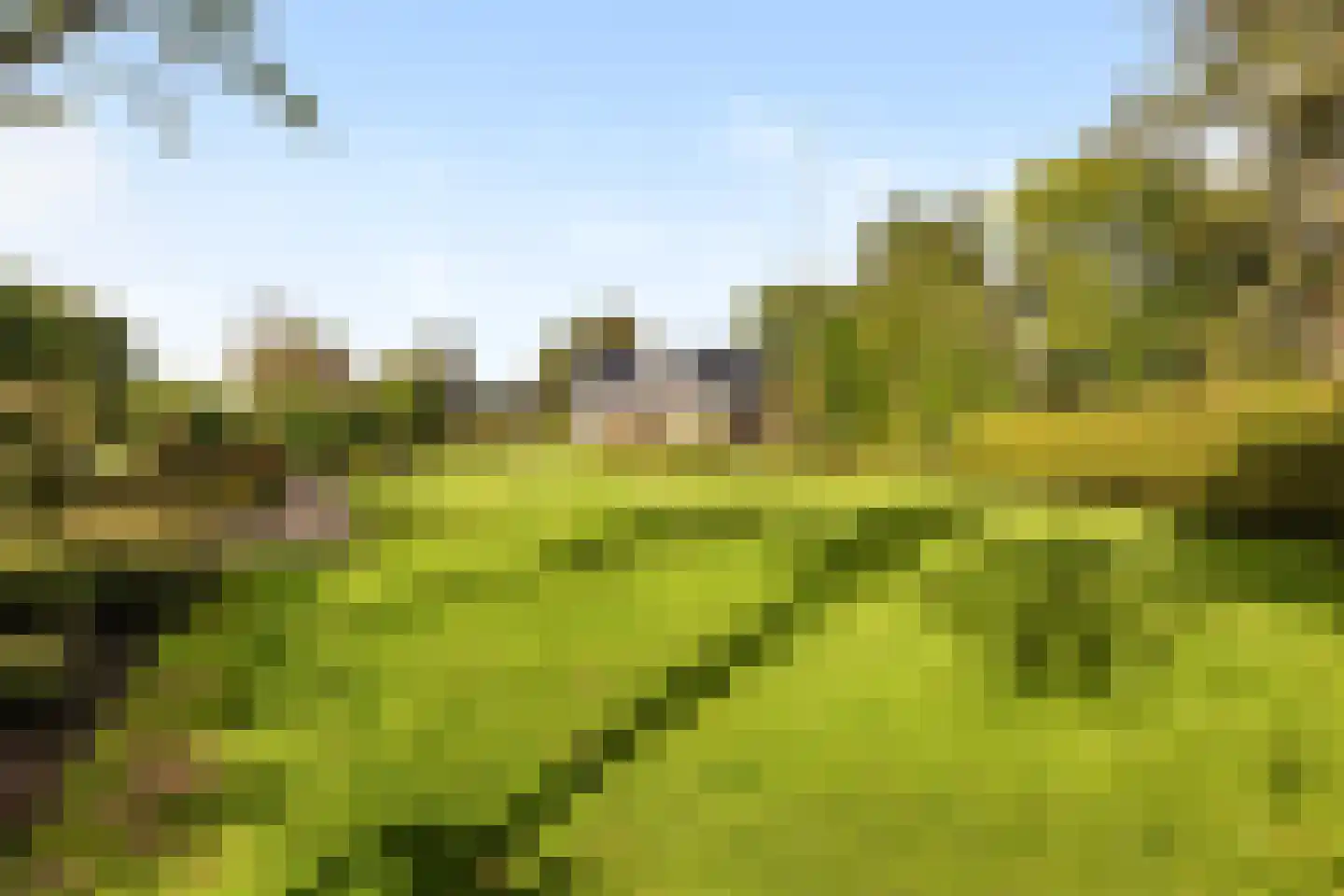 Rijksstraatweg 21 Jistrum thumbnail 43