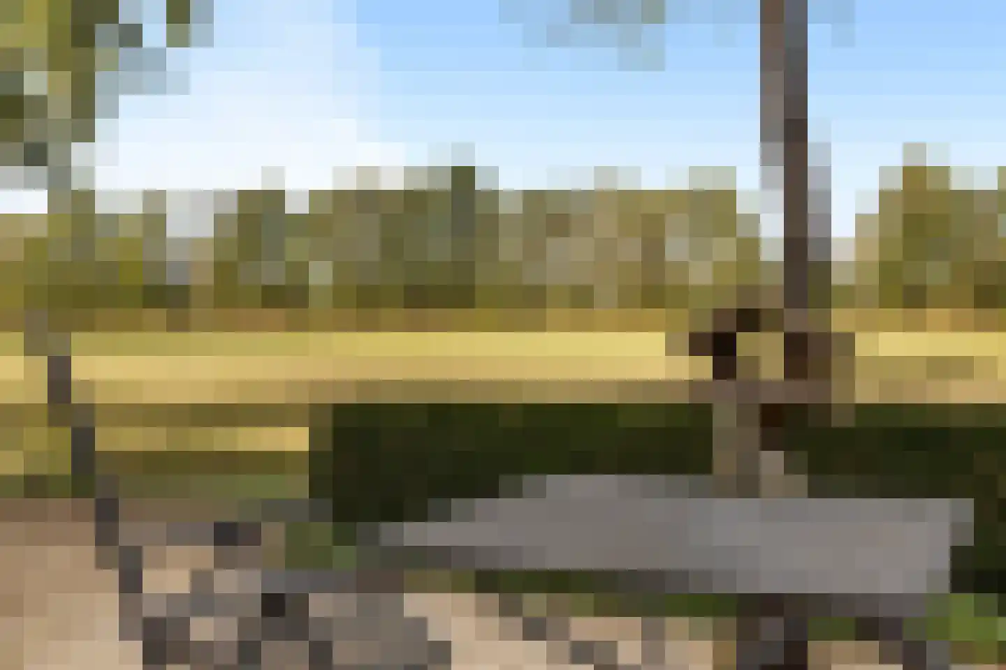 Rijksstraatweg 21 Jistrum thumbnail 45