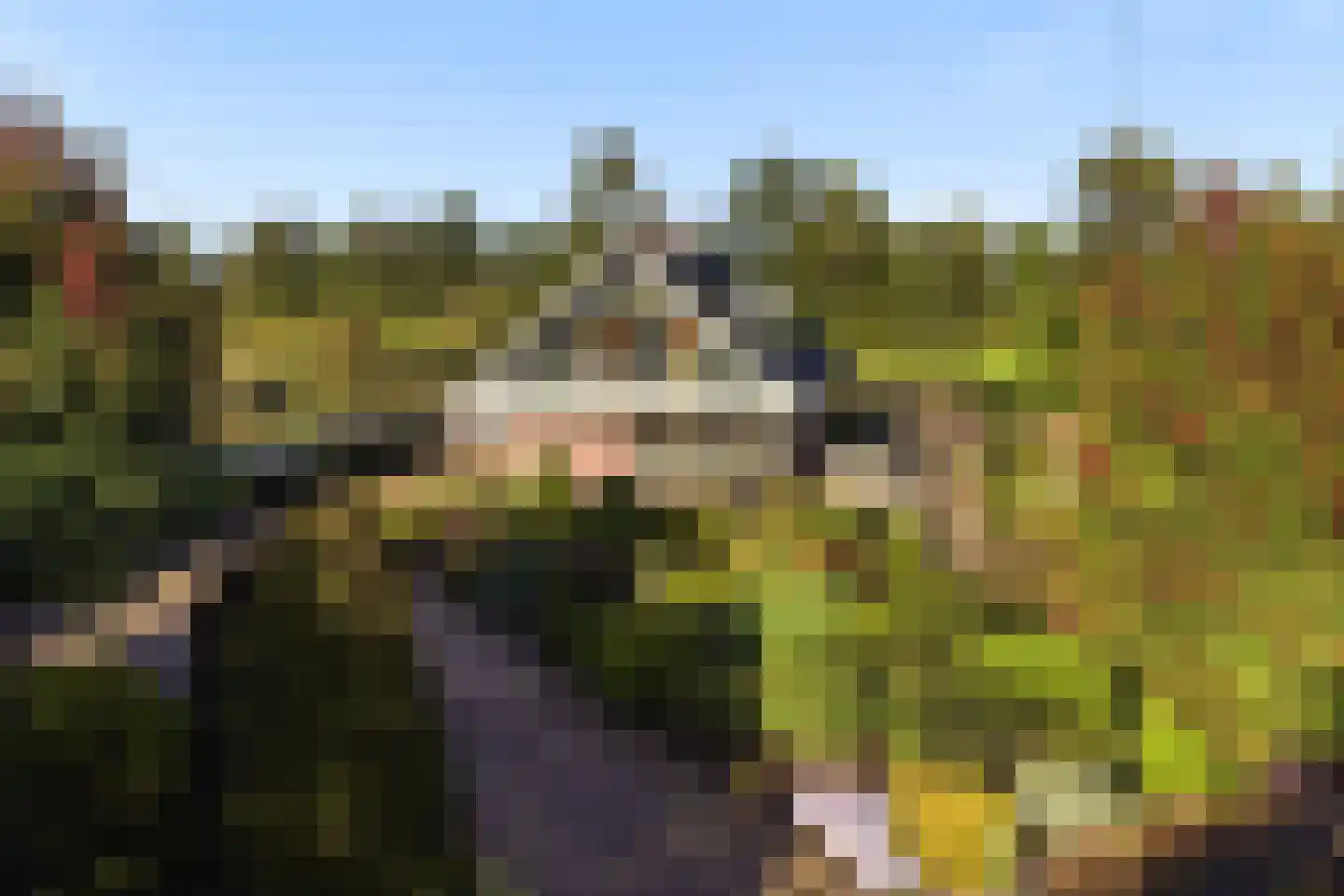 Rijksstraatweg 21 Jistrum thumbnail 5