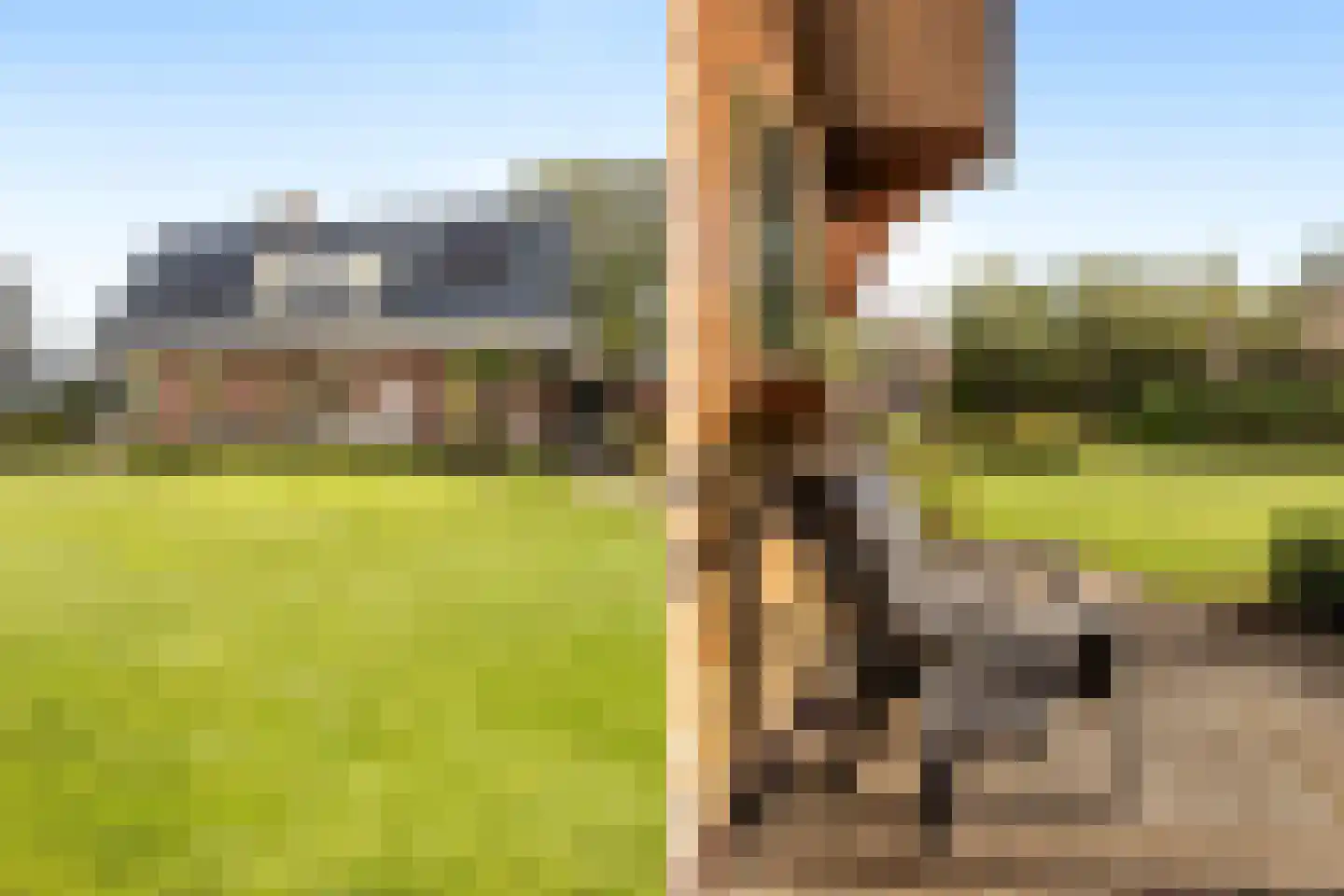 Rijksstraatweg 21 Jistrum thumbnail 50