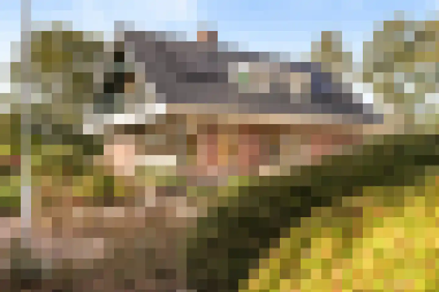 Rijksstraatweg 21 Jistrum thumbnail 51