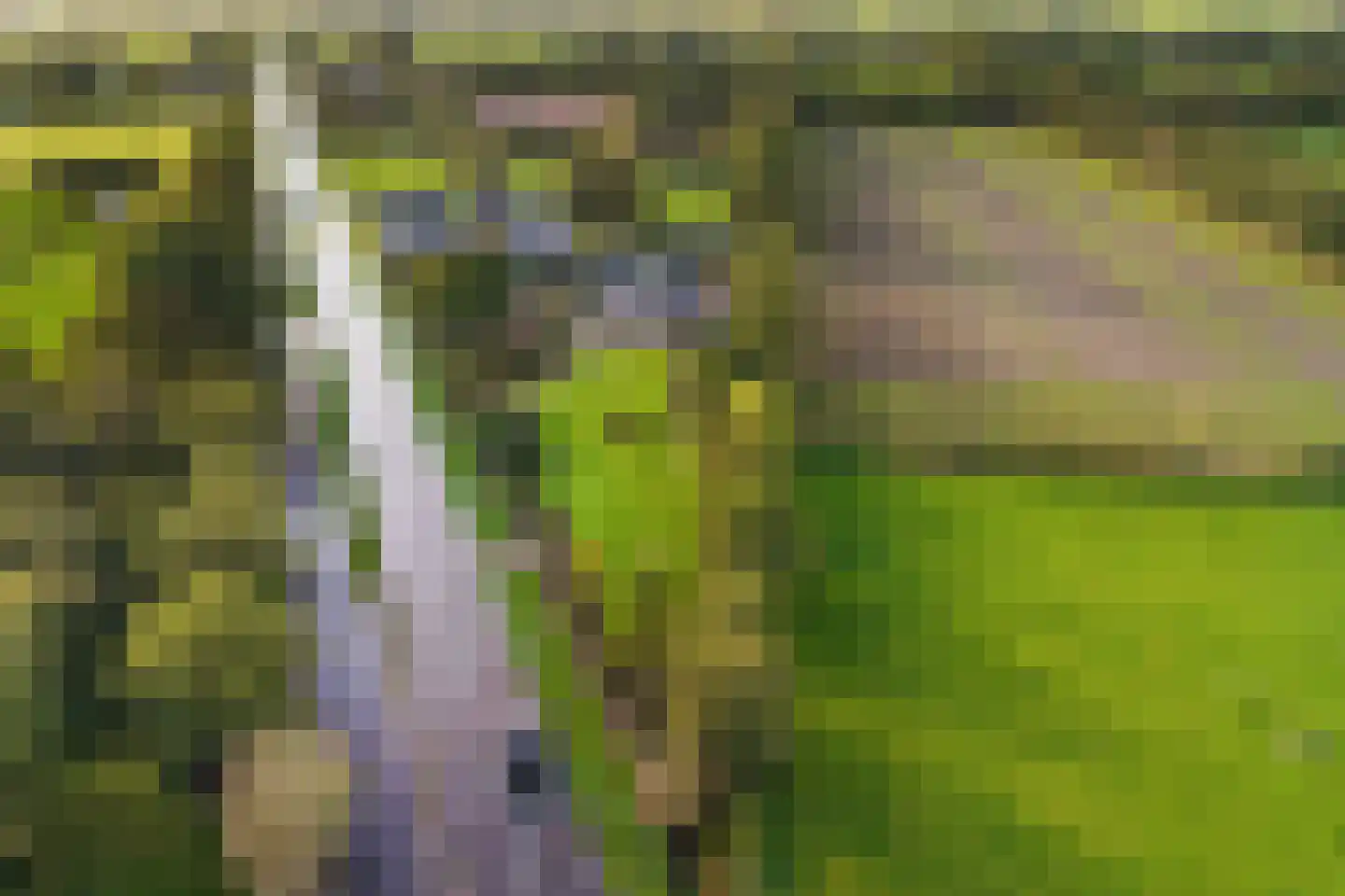Rijksstraatweg 21 Jistrum thumbnail 67