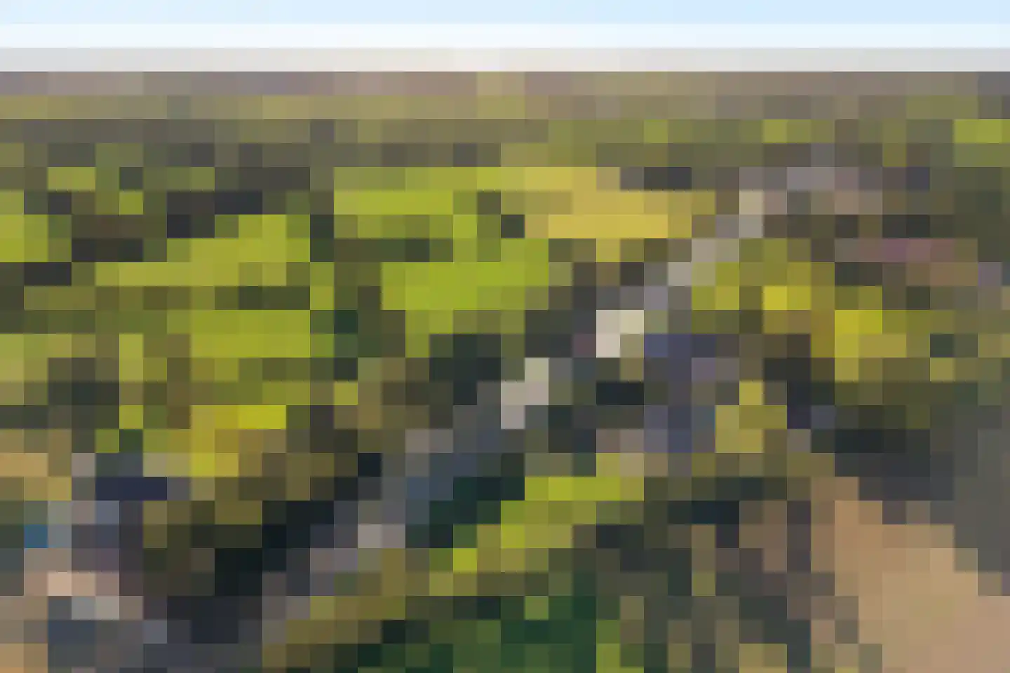 Rijksstraatweg 21 Jistrum thumbnail 68