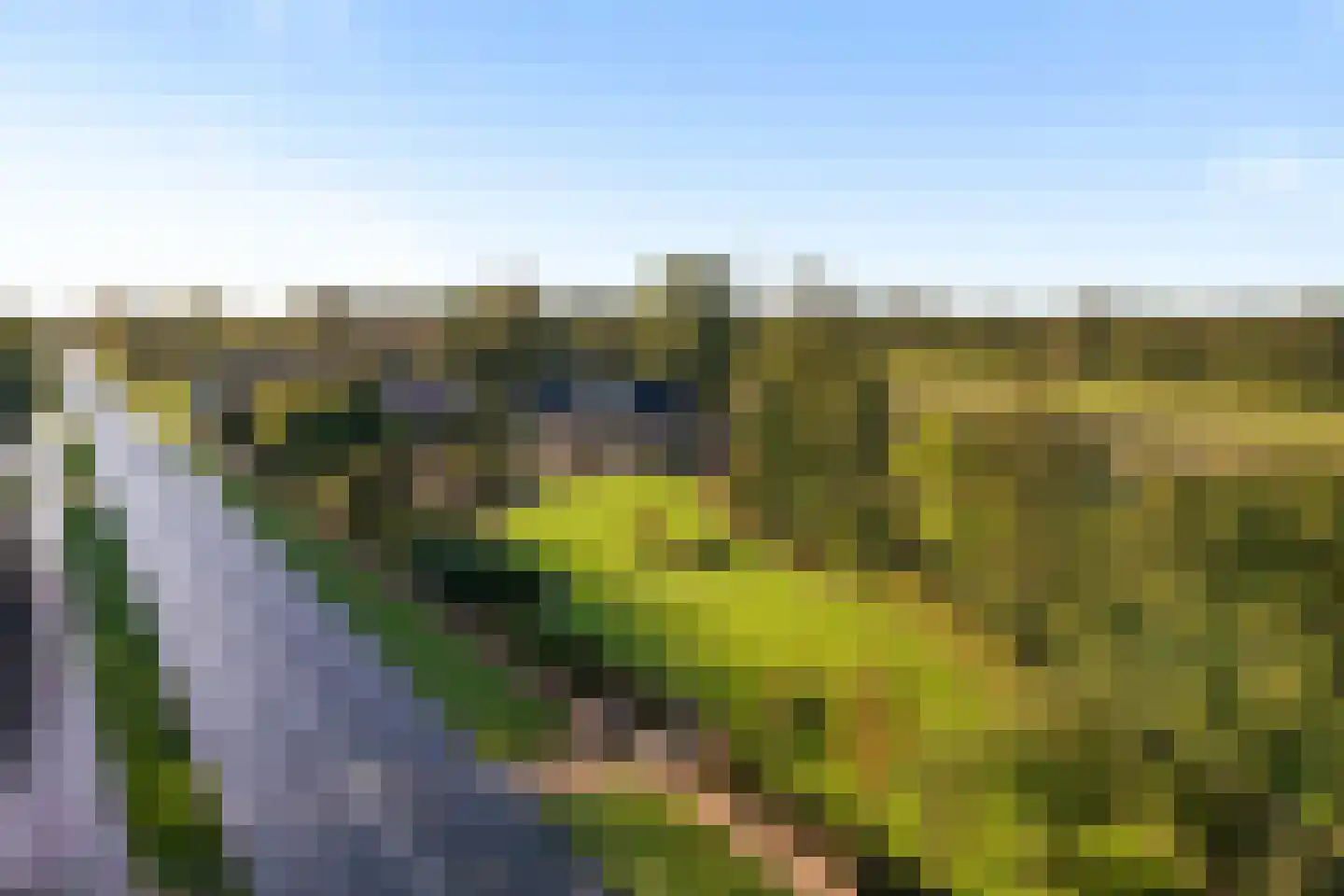 Rijksstraatweg 21 Jistrum thumbnail 69