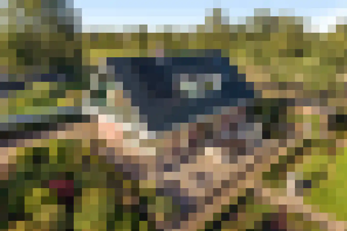 Rijksstraatweg 21 Jistrum thumbnail 7