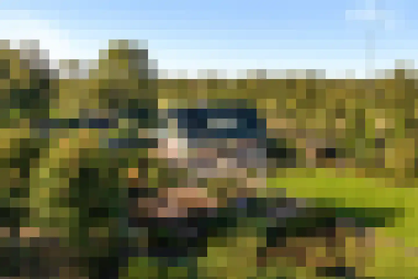 Rijksstraatweg 21 Jistrum thumbnail 8