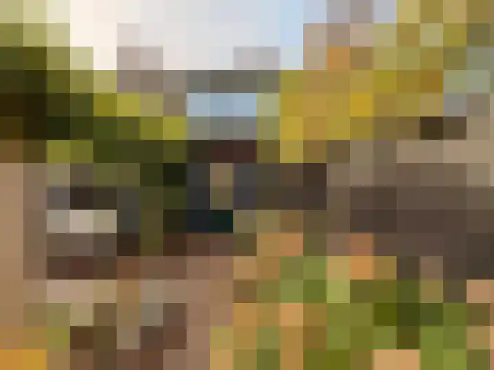 Rijksstraatweg 211 A Elst Ut thumbnail 22