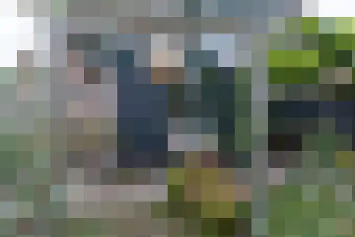 Rijksstraatweg 211 A Elst Ut thumbnail 24