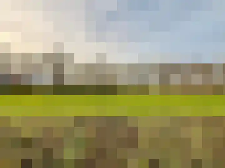 Rijksstraatweg 211 A Elst Ut thumbnail 31