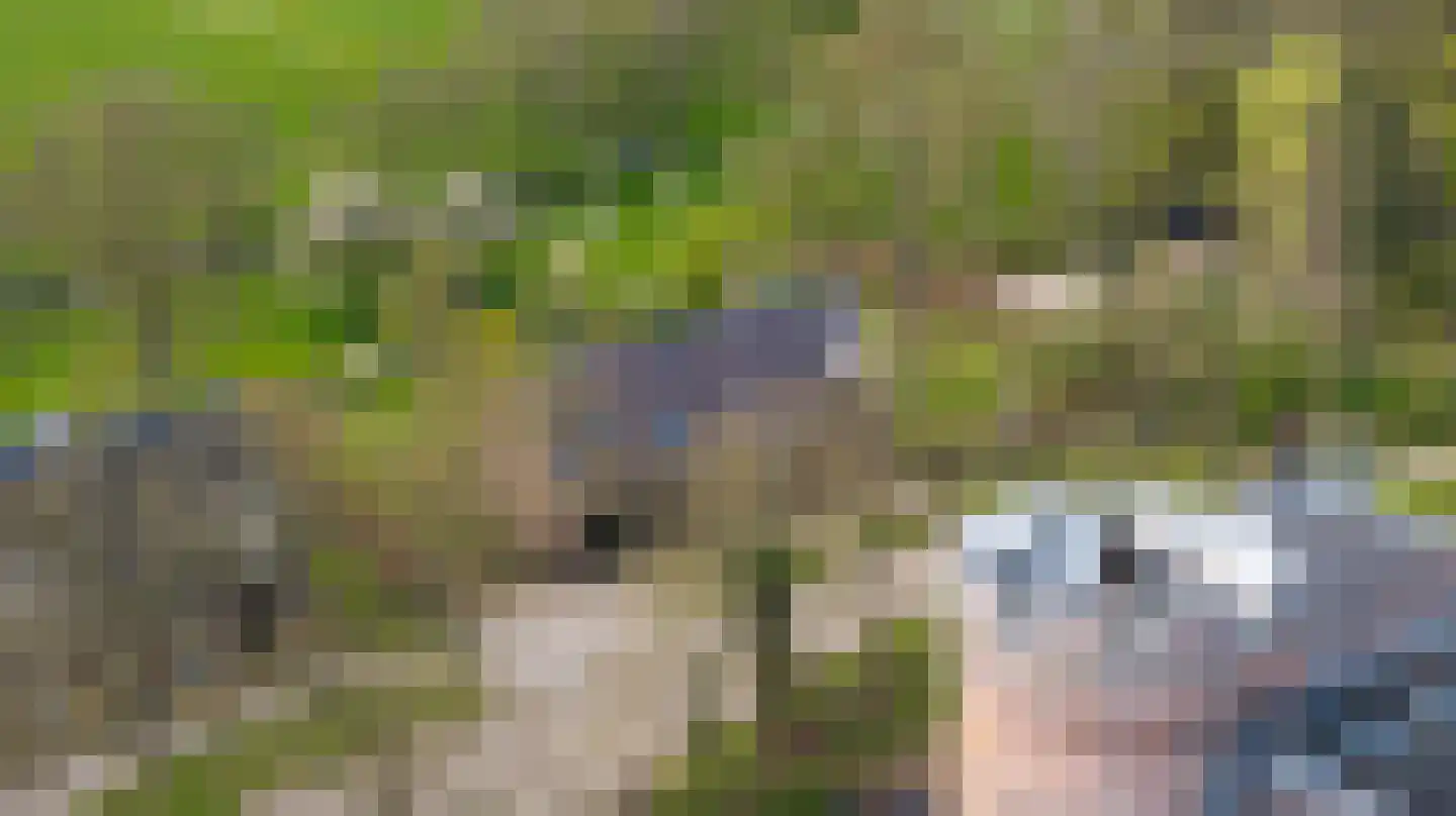 Rijksstraatweg 213 Loenersloot thumbnail 10