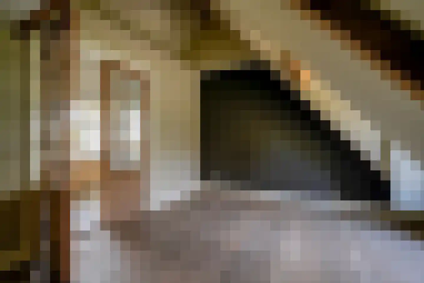 Rijksstraatweg 213 Loenersloot thumbnail 27