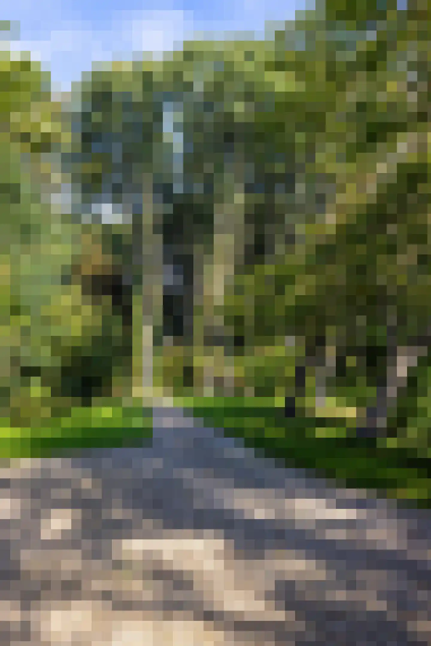 Rijksstraatweg 213 Loenersloot thumbnail 39