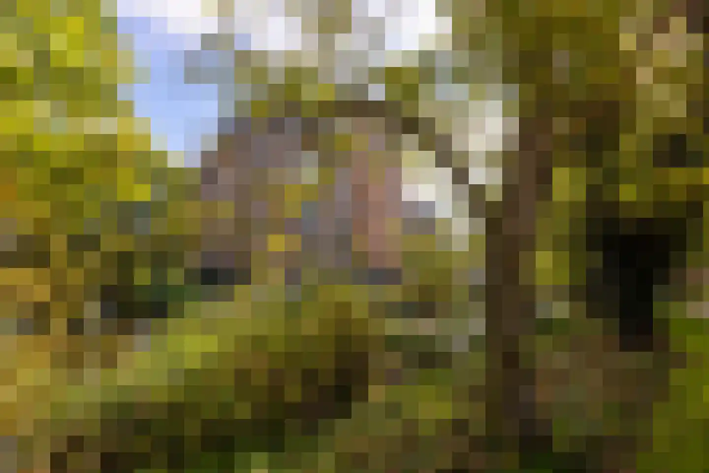 Rijksstraatweg 213 Loenersloot thumbnail 40